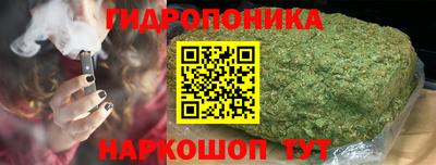 дживик Заводоуковск