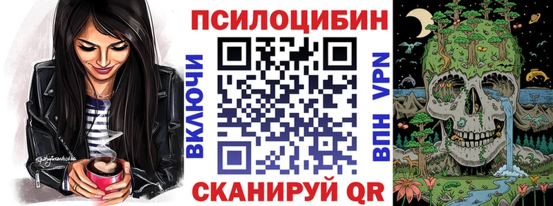 гидра как зайти  как найти закладки  Тольятти  Псилоцибиновые грибы мицелий 