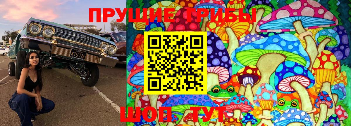 Псилоцибиновые грибы мухоморы Тольятти