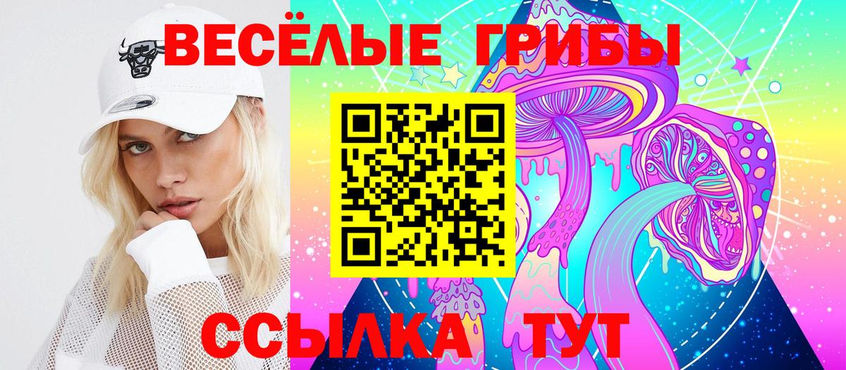 Псилоцибиновые грибы GOLDEN TEACHER Тольятти